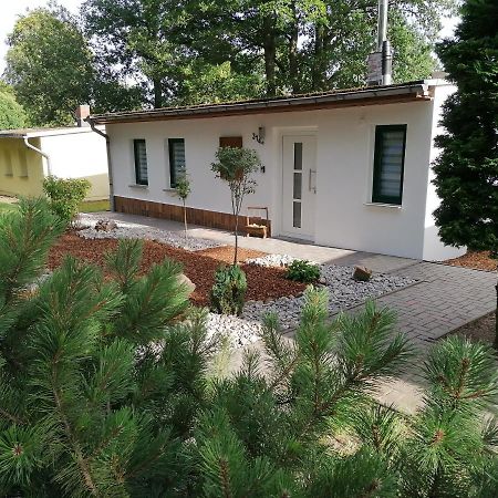 Ferienhaus Regina Neudorf  Dış mekan fotoğraf